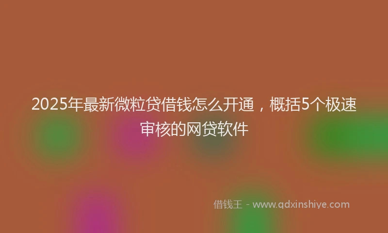 2025年最新微粒贷借钱怎么开通，概括5个极速审核的网贷软件