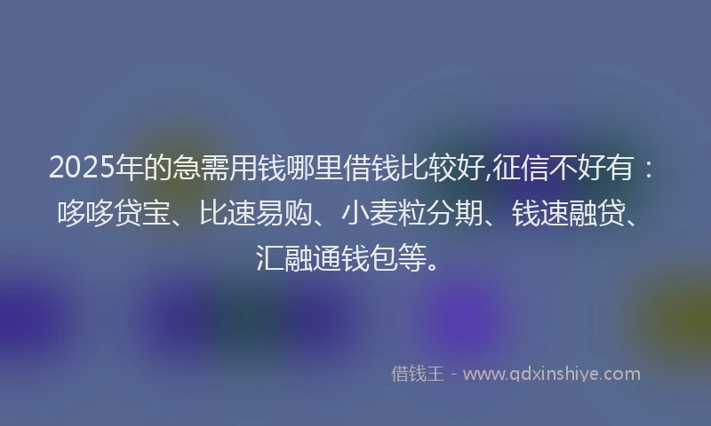 2025年的急需用钱哪里借钱比较好,征信不好有：哆哆贷宝、比速易购、小麦粒分期、钱速融贷、汇融通钱包等。