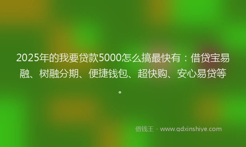 2025年的我要贷款5000怎么搞最快有：借贷宝易融、树融分期、便捷钱包、超快购、安心易贷等。