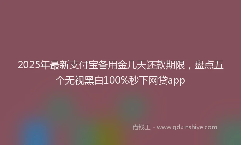 2025年最新支付宝备用金几天还款期限，盘点五个无视黑白100%秒下网贷app