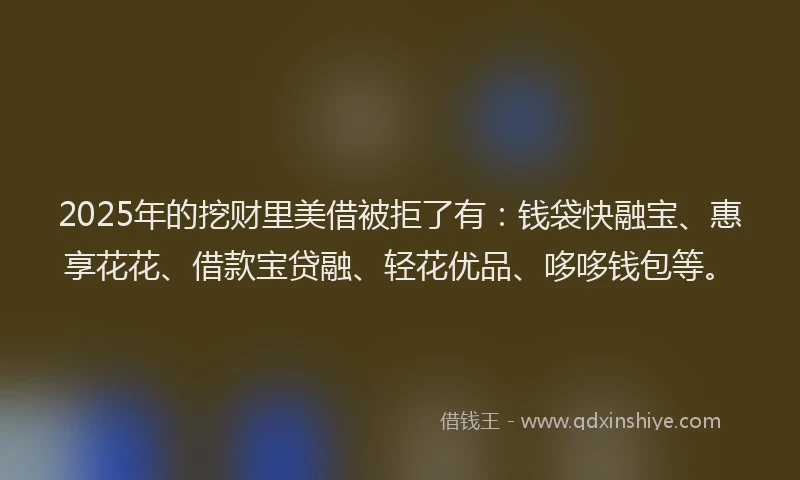2025年的挖财里美借被拒了有：钱袋快融宝、惠享花花、借款宝贷融、轻花优品、哆哆钱包等。