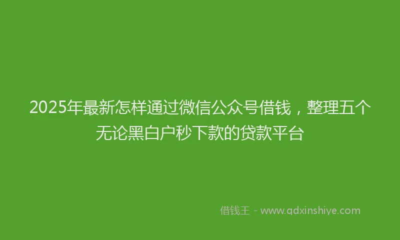 2025年最新怎样通过微信公众号借钱，整理五个无论黑白户秒下款的贷款平台