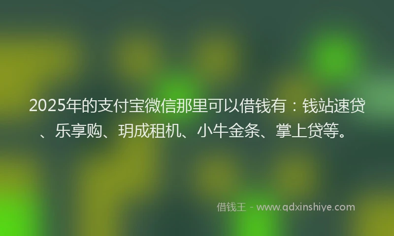 2025年的支付宝微信那里可以借钱有：钱站速贷、乐享购、玥成租机、小牛金条、掌上贷等。