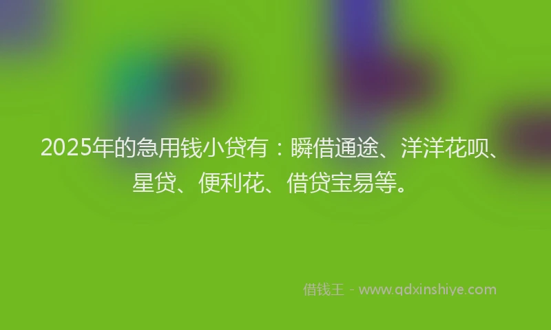 2025年的急用钱小贷有：瞬借通途、洋洋花呗、星贷、便利花、借贷宝易等。