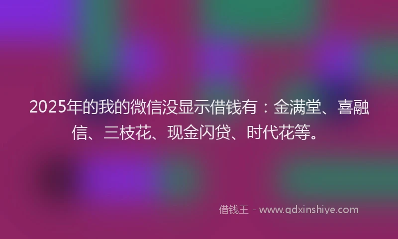 2025年的我的微信没显示借钱有：金满堂、喜融信、三枝花、现金闪贷、时代花等。