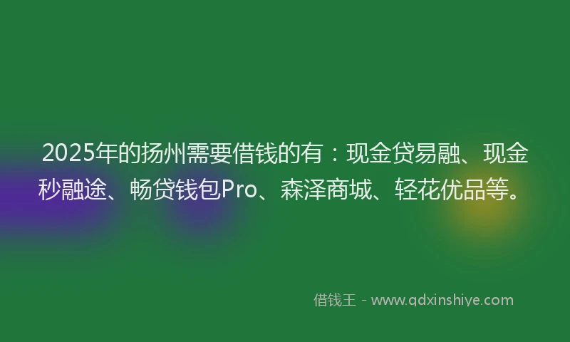 2025年的扬州需要借钱的有：现金贷易融、现金秒融途、畅贷钱包Pro、森泽商城、轻花优品等。