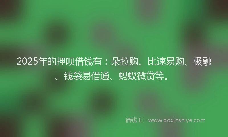 2025年的押呗借钱有：朵拉购、比速易购、极融、钱袋易借通、蚂蚁微贷等。