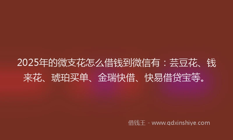 2025年的微支花怎么借钱到微信有：芸豆花、钱来花、琥珀买单、金瑞快借、快易借贷宝等。