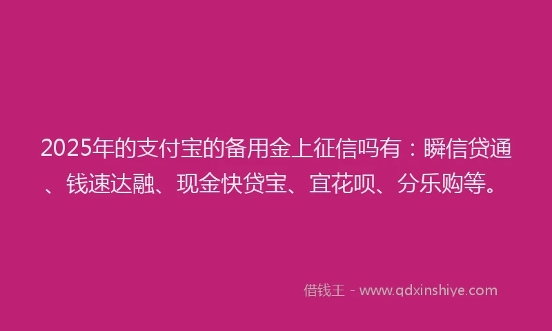 2025年的支付宝的备用金上征信吗有：瞬信贷通、钱速达融、现金快贷宝、宜花呗、分乐购等。