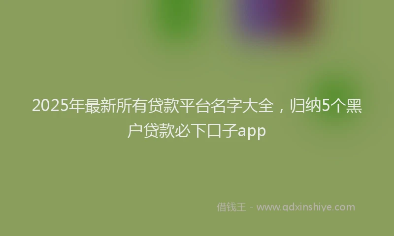2025年最新所有贷款平台名字大全，归纳5个黑户贷款必下口子app