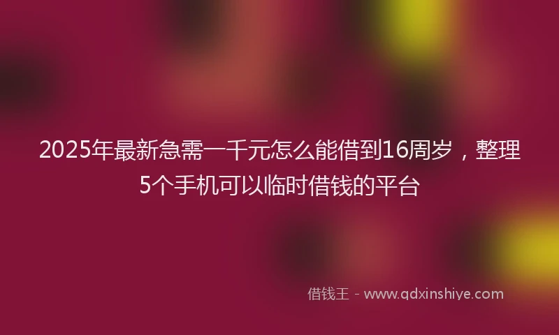 2025年最新急需一千元怎么能借到16周岁，整理5个手机可以临时借钱的平台