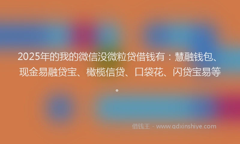 2025年的我的微信没微粒贷借钱有：慧融钱包、现金易融贷宝、橄榄信贷、口袋花、闪贷宝易等。
