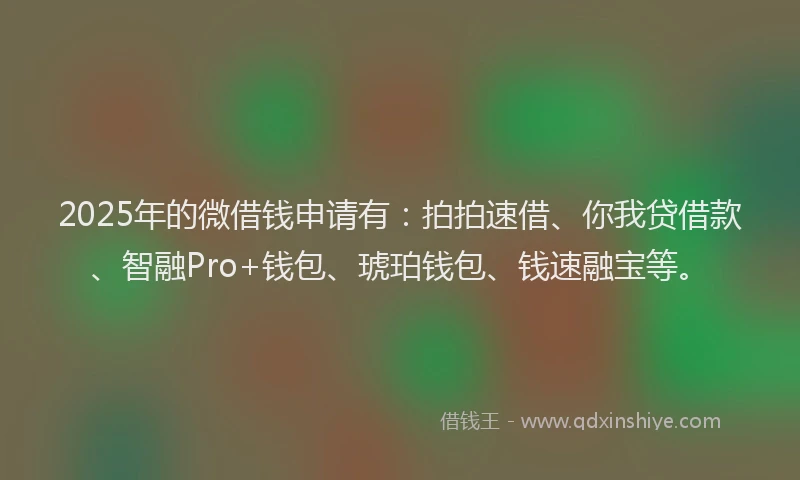 2025年的微借钱申请有：拍拍速借、你我贷借款、智融Pro+钱包、琥珀钱包、钱速融宝等。