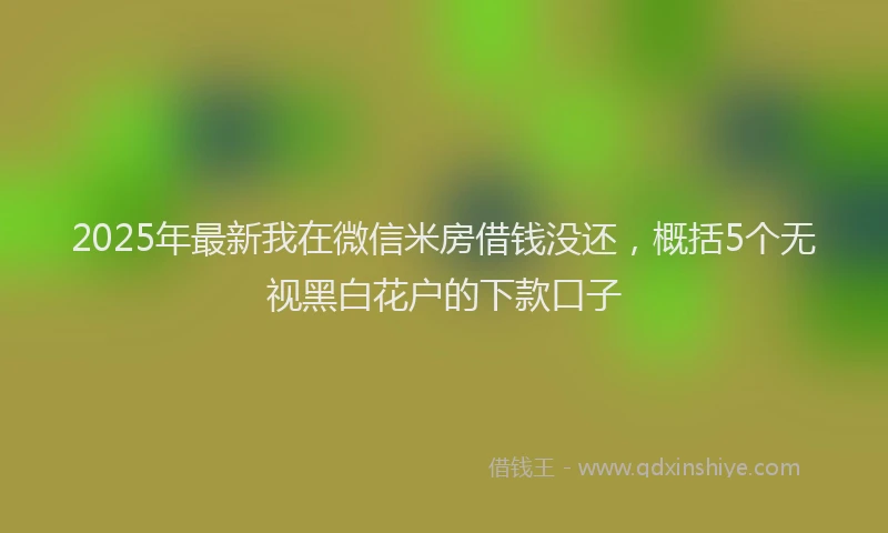 2025年最新我在微信米房借钱没还，概括5个无视黑白花户的下款口子