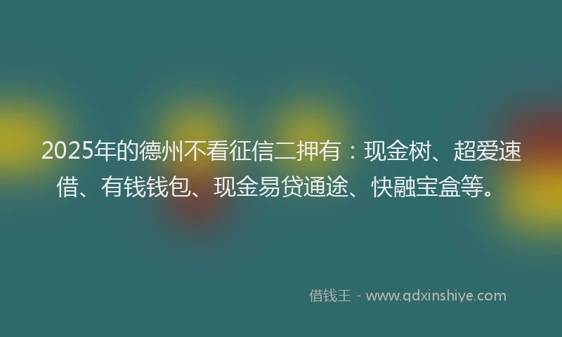 2025年的德州不看征信二押有：现金树、超爱速借、有钱钱包、现金易贷通途、快融宝盒等。