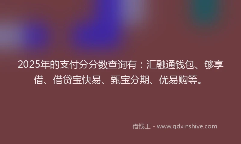 2025年的支付分分数查询有：汇融通钱包、够享借、借贷宝快易、甄宝分期、优易购等。