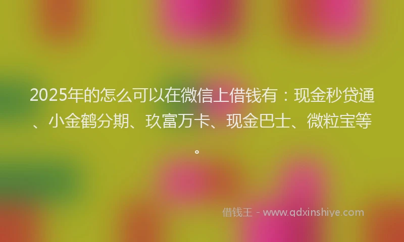 2025年的怎么可以在微信上借钱有：现金秒贷通、小金鹤分期、玖富万卡、现金巴士、微粒宝等。