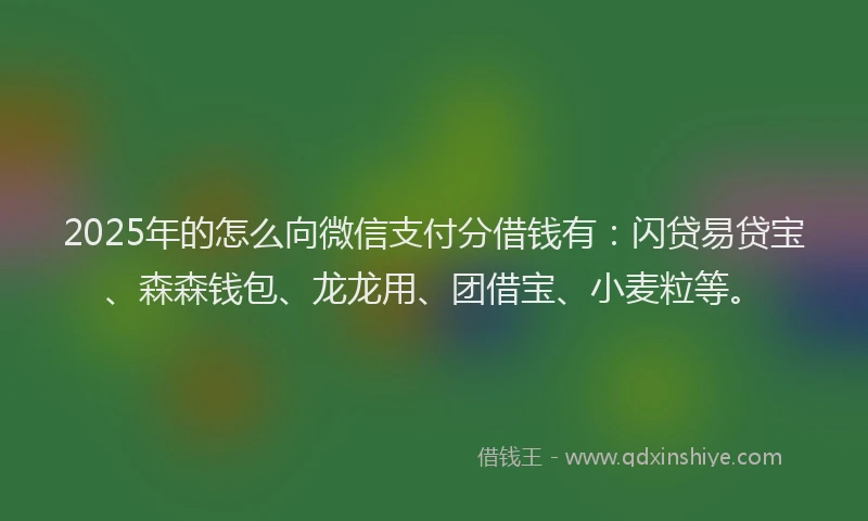 2025年的怎么向微信支付分借钱有：闪贷易贷宝、森森钱包、龙龙用、团借宝、小麦粒等。