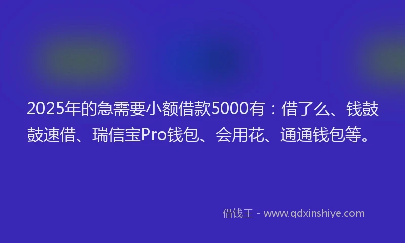 2025年的急需要小额借款5000有：借了么、钱鼓鼓速借、瑞信宝Pro钱包、会用花、通通钱包等。