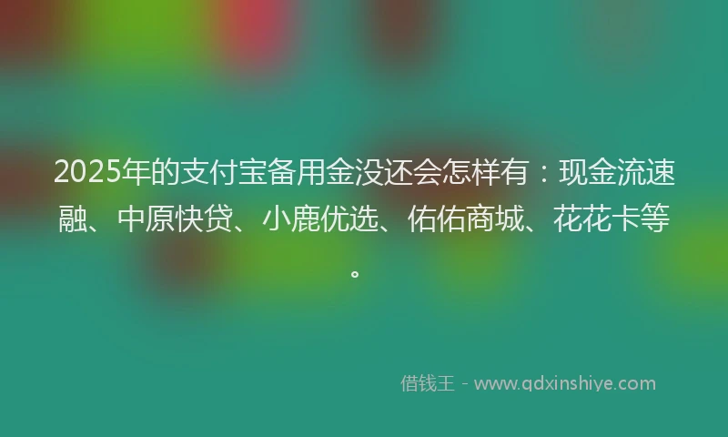 2025年的支付宝备用金没还会怎样有：现金流速融、中原快贷、小鹿优选、佑佑商城、花花卡等。