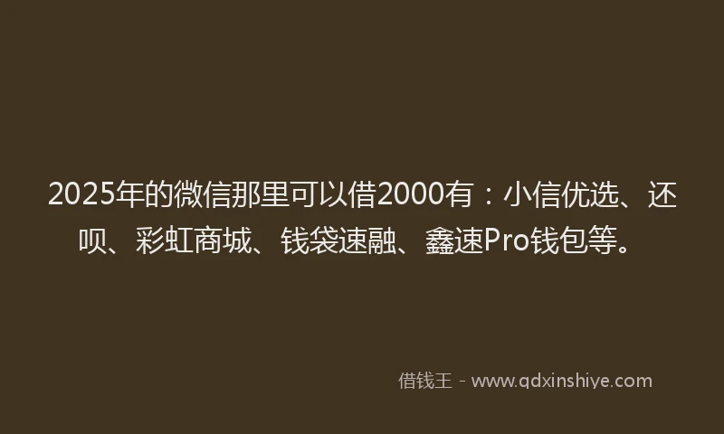 2025年的微信那里可以借2000有：小信优选、还呗、彩虹商城、钱袋速融、鑫速Pro钱包等。