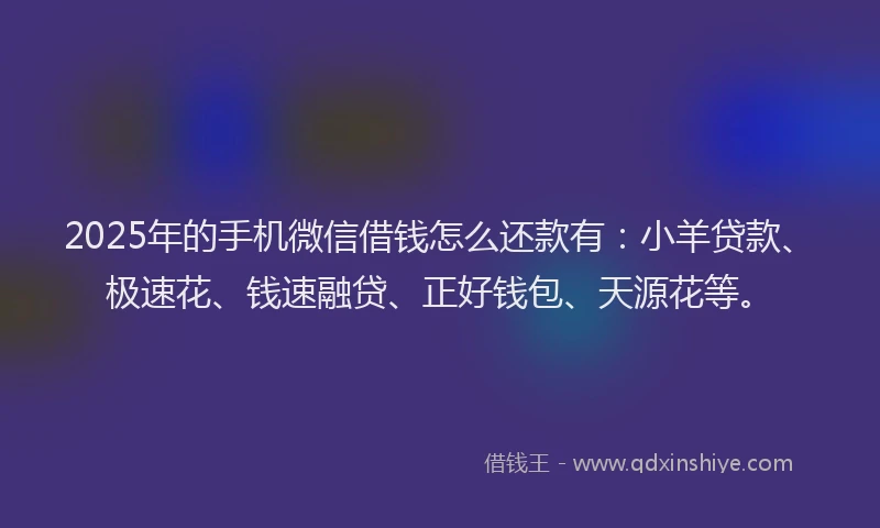 2025年的手机微信借钱怎么还款有：小羊贷款、极速花、钱速融贷、正好钱包、天源花等。