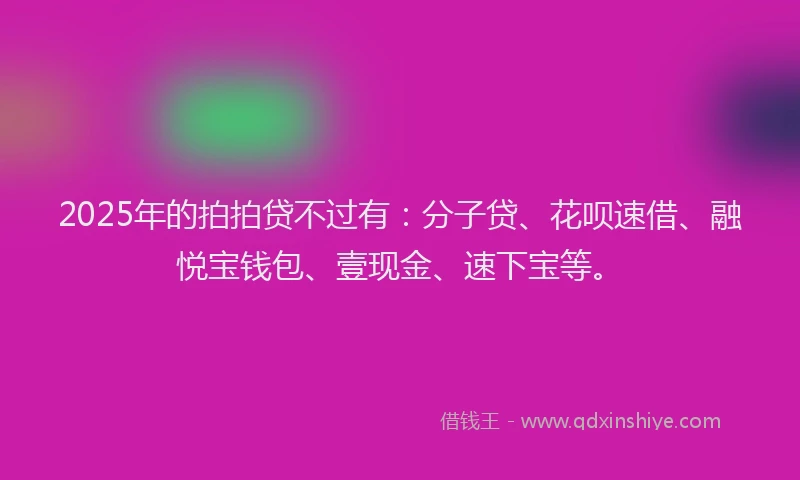 2025年的拍拍贷不过有：分子贷、花呗速借、融悦宝钱包、壹现金、速下宝等。