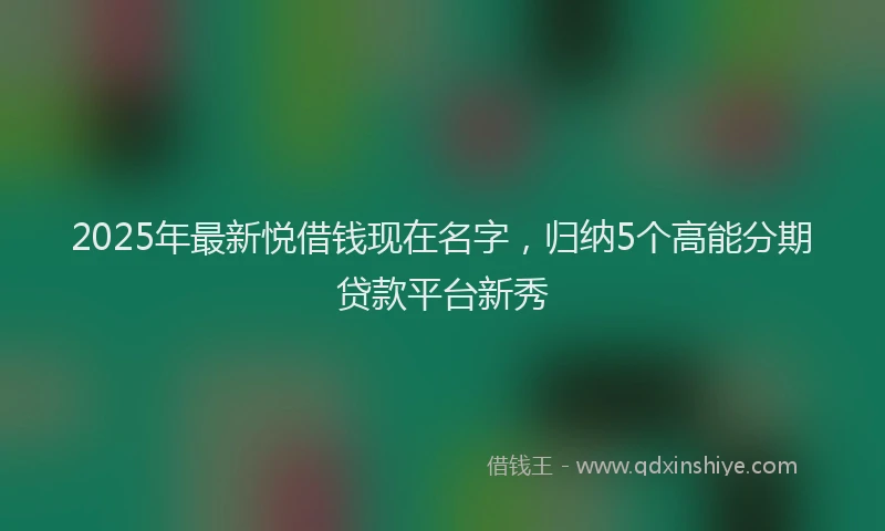 2025年最新悦借钱现在名字，归纳5个高能分期贷款平台新秀