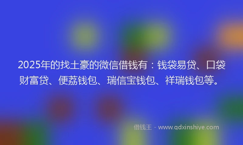 2025年的找土豪的微信借钱有：钱袋易贷、口袋财富贷、便荔钱包、瑞信宝钱包、祥瑞钱包等。