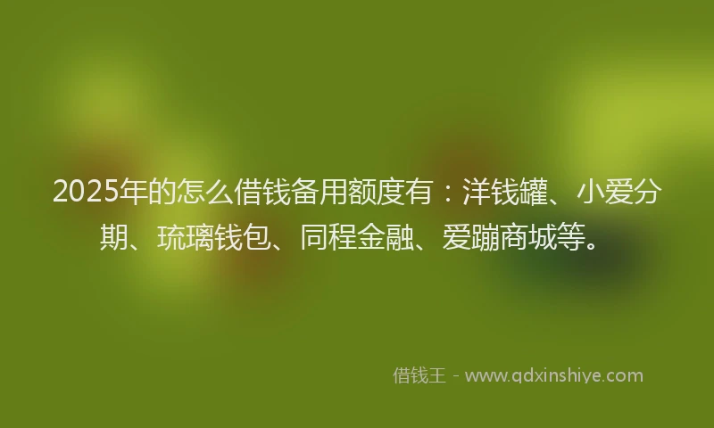 2025年的怎么借钱备用额度有：洋钱罐、小爱分期、琉璃钱包、同程金融、爱蹦商城等。