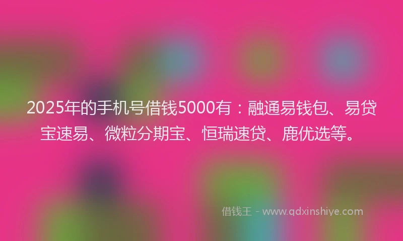 2025年的手机号借钱5000有：融通易钱包、易贷宝速易、微粒分期宝、恒瑞速贷、鹿优选等。