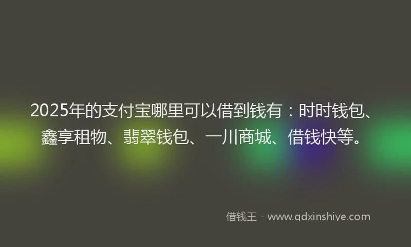 2025年的支付宝哪里可以借到钱有：时时钱包、鑫享租物、翡翠钱包、一川商城、借钱快等。