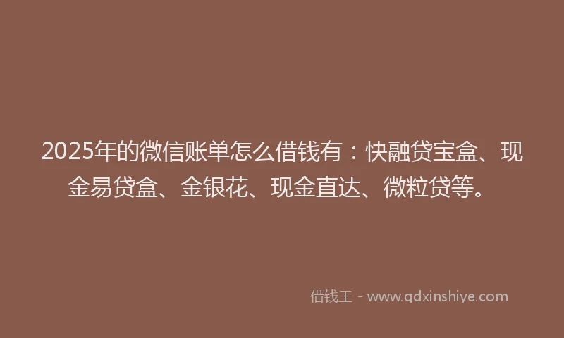 2025年的微信账单怎么借钱有：快融贷宝盒、现金易贷盒、金银花、现金直达、微粒贷等。