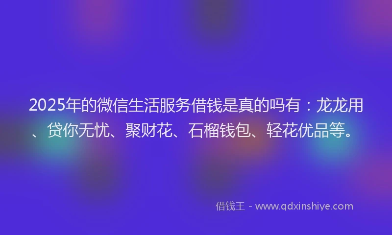 2025年的微信生活服务借钱是真的吗有：龙龙用、贷你无忧、聚财花、石榴钱包、轻花优品等。