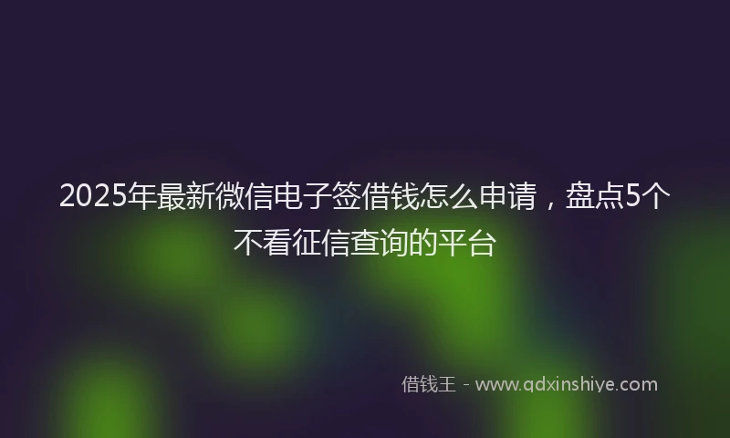 2025年最新微信电子签借钱怎么申请，盘点5个不看征信查询的平台
