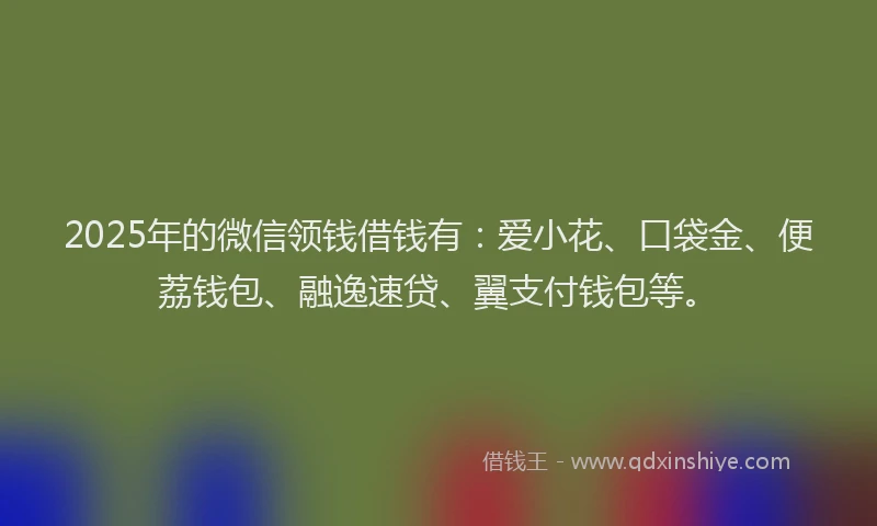 2025年的微信领钱借钱有：爱小花、口袋金、便荔钱包、融逸速贷、翼支付钱包等。