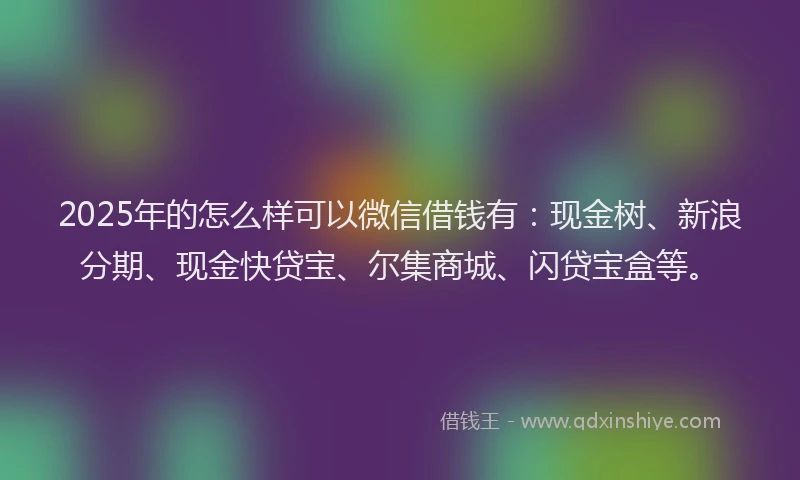 2025年的怎么样可以微信借钱有：现金树、新浪分期、现金快贷宝、尔集商城、闪贷宝盒等。