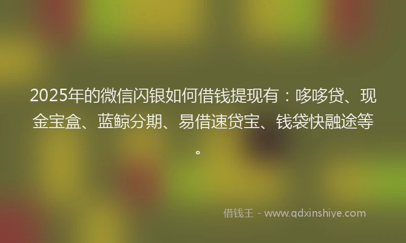 2025年的微信闪银如何借钱提现有：哆哆贷、现金宝盒、蓝鲸分期、易借速贷宝、钱袋快融途等。