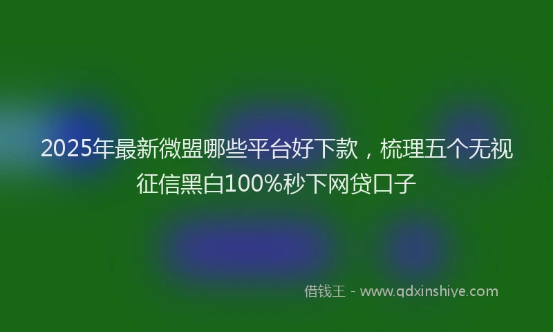 2025年最新微盟哪些平台好下款，梳理五个无视征信黑白100%秒下网贷口子