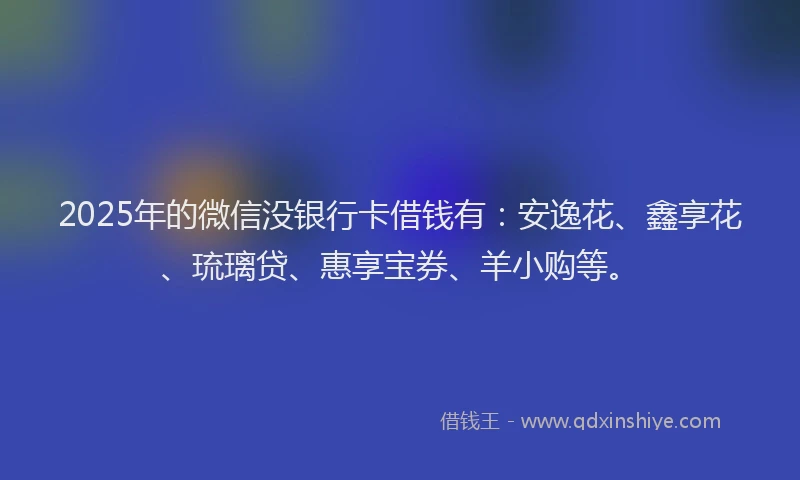 2025年的微信没银行卡借钱有：安逸花、鑫享花、琉璃贷、惠享宝券、羊小购等。