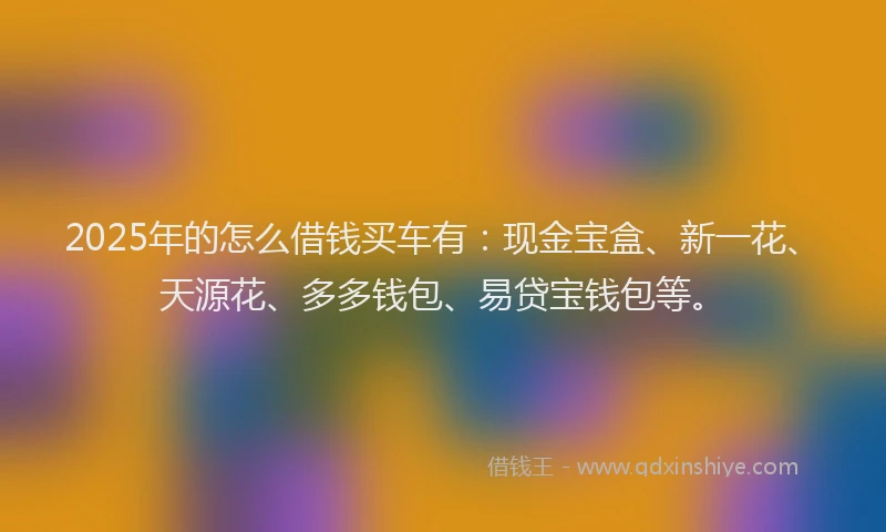 2025年的怎么借钱买车有：现金宝盒、新一花、天源花、多多钱包、易贷宝钱包等。