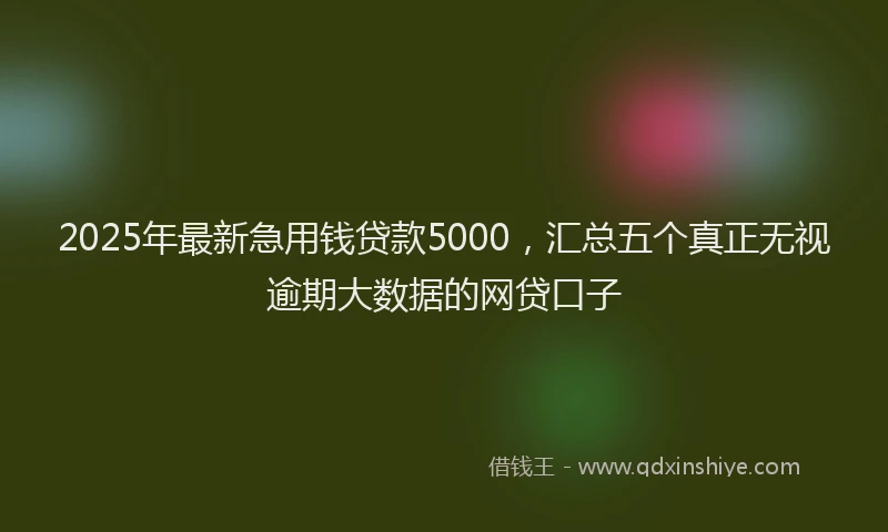 2025年最新急用钱贷款5000，汇总五个真正无视逾期大数据的网贷口子