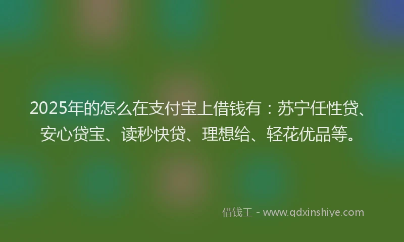 2025年的怎么在支付宝上借钱有：苏宁任性贷、安心贷宝、读秒快贷、理想给、轻花优品等。