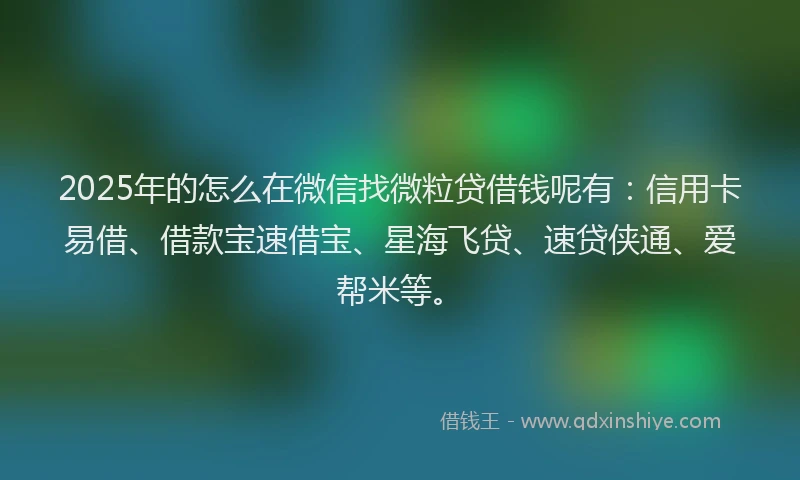 2025年的怎么在微信找微粒贷借钱呢有：信用卡易借、借款宝速借宝、星海飞贷、速贷侠通、爱帮米等。