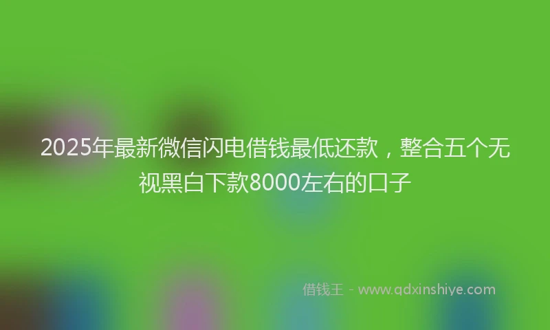 2025年最新微信闪电借钱最低还款，整合五个无视黑白下款8000左右的口子
