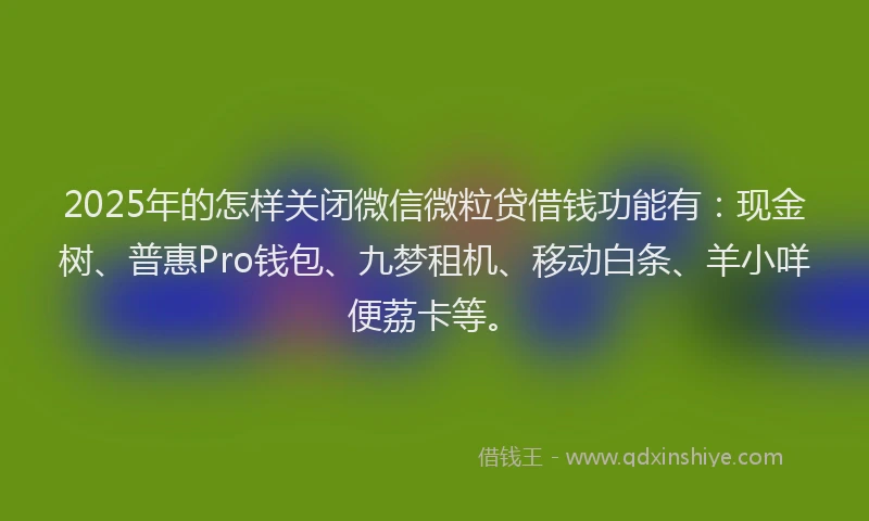 2025年的怎样关闭微信微粒贷借钱功能有：现金树、普惠Pro钱包、九梦租机、移动白条、羊小咩便荔卡等。