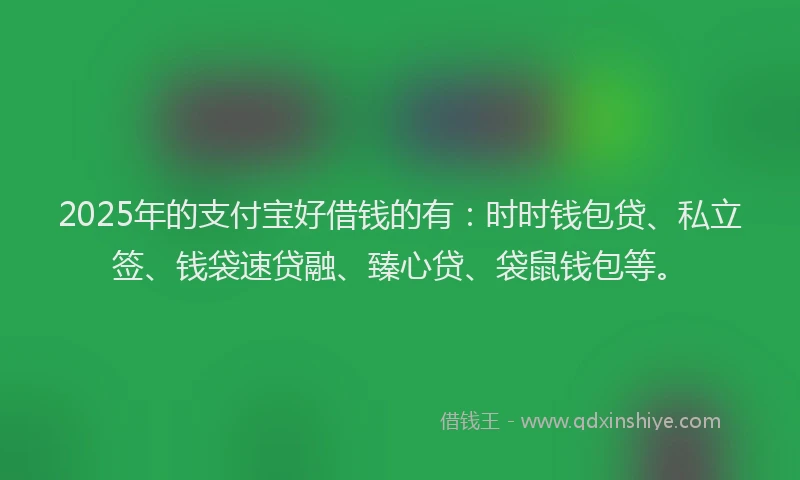 2025年的支付宝好借钱的有：时时钱包贷、私立签、钱袋速贷融、臻心贷、袋鼠钱包等。