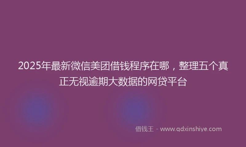 2025年最新微信美团借钱程序在哪，整理五个真正无视逾期大数据的网贷平台
