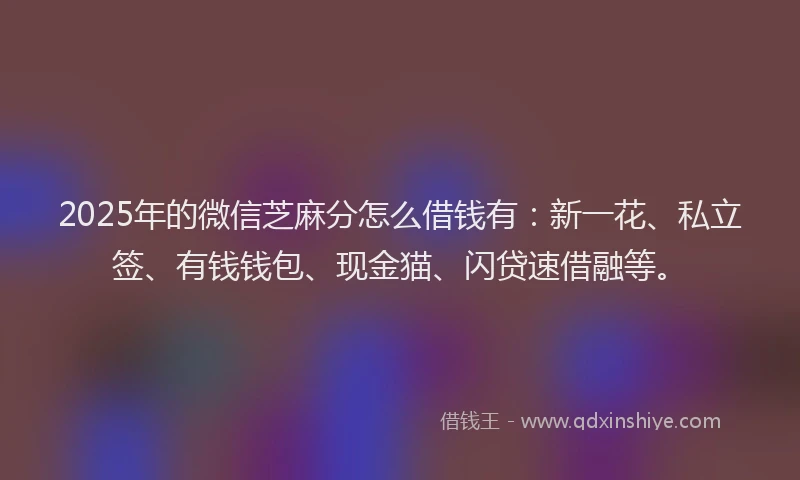2025年的微信芝麻分怎么借钱有：新一花、私立签、有钱钱包、现金猫、闪贷速借融等。