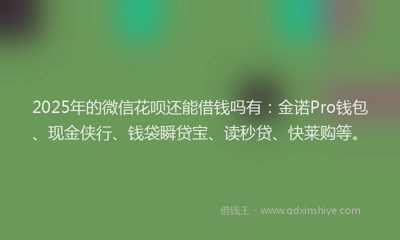 2025年的微信花呗还能借钱吗有：金诺Pro钱包、现金侠行、钱袋瞬贷宝、读秒贷、快莱购等。
